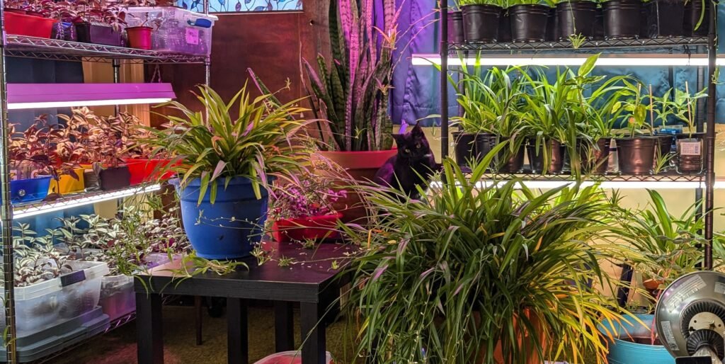 Plant Racks